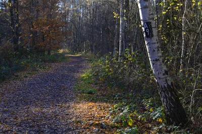 Les outils essentiels pour automatiser son business en 2026 et gagner du temps