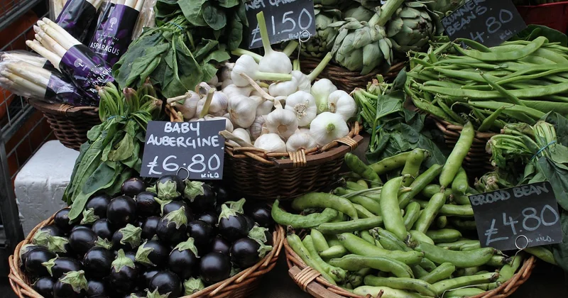 Comparatif des solutions : prix réels et pièges cachés