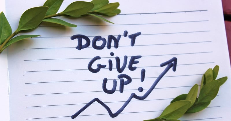 Lettre de motivation stage vétérinaire : le guide qui décroche le poste